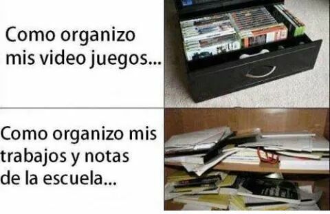 Organizacion por favol