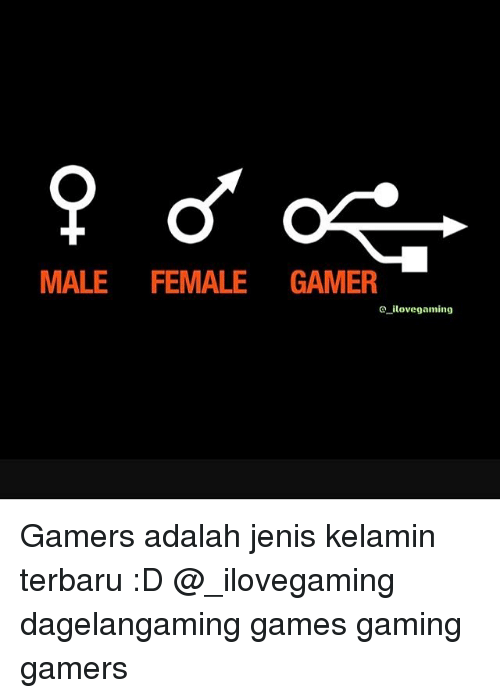 male female gamer