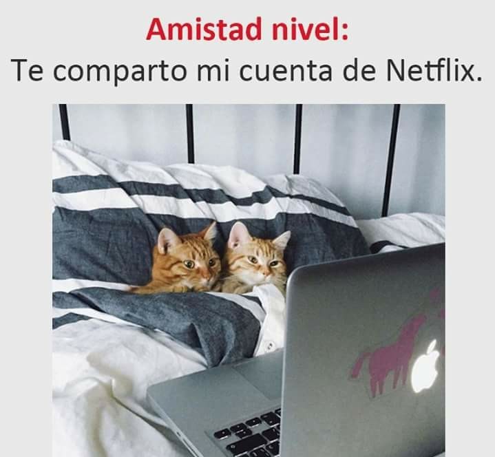 amistad netflix