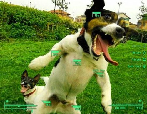 perro fallout cosplay viernes