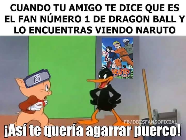 Así te quería agarrar puerco!