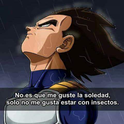 A veces me siento tan Vegeta :3