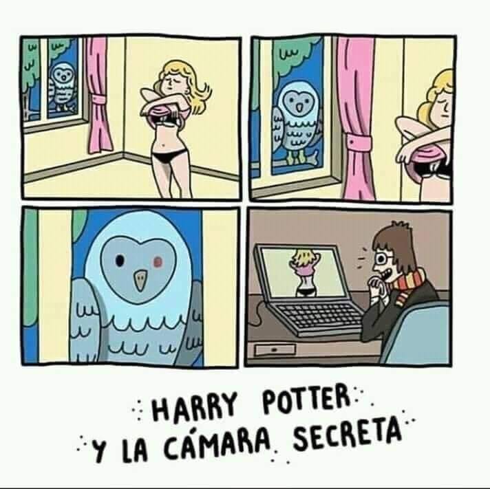 Harry potter y su basilisko...