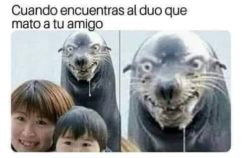 Esa cara lo dice todo