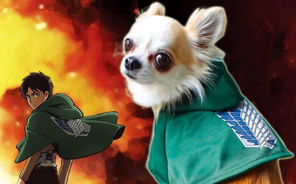 Shingeki no bork - Imaginaos lo en titan XD