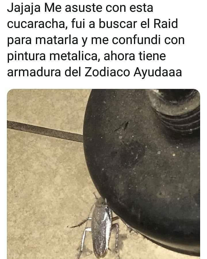 Caballero Cuqui de plata :3