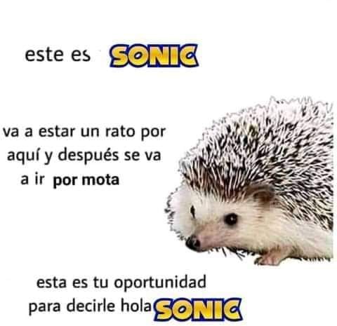 Sonic the Weedgedog