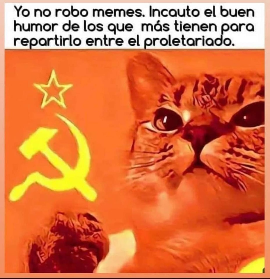 El catmarada tiene razón 😆